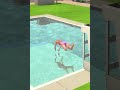 Swan Dive Gone Wrong - Sims 4