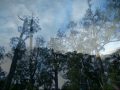 tassie Van Diemens Land photos