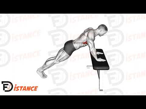 Exercice Pompes inclinées scapulaires