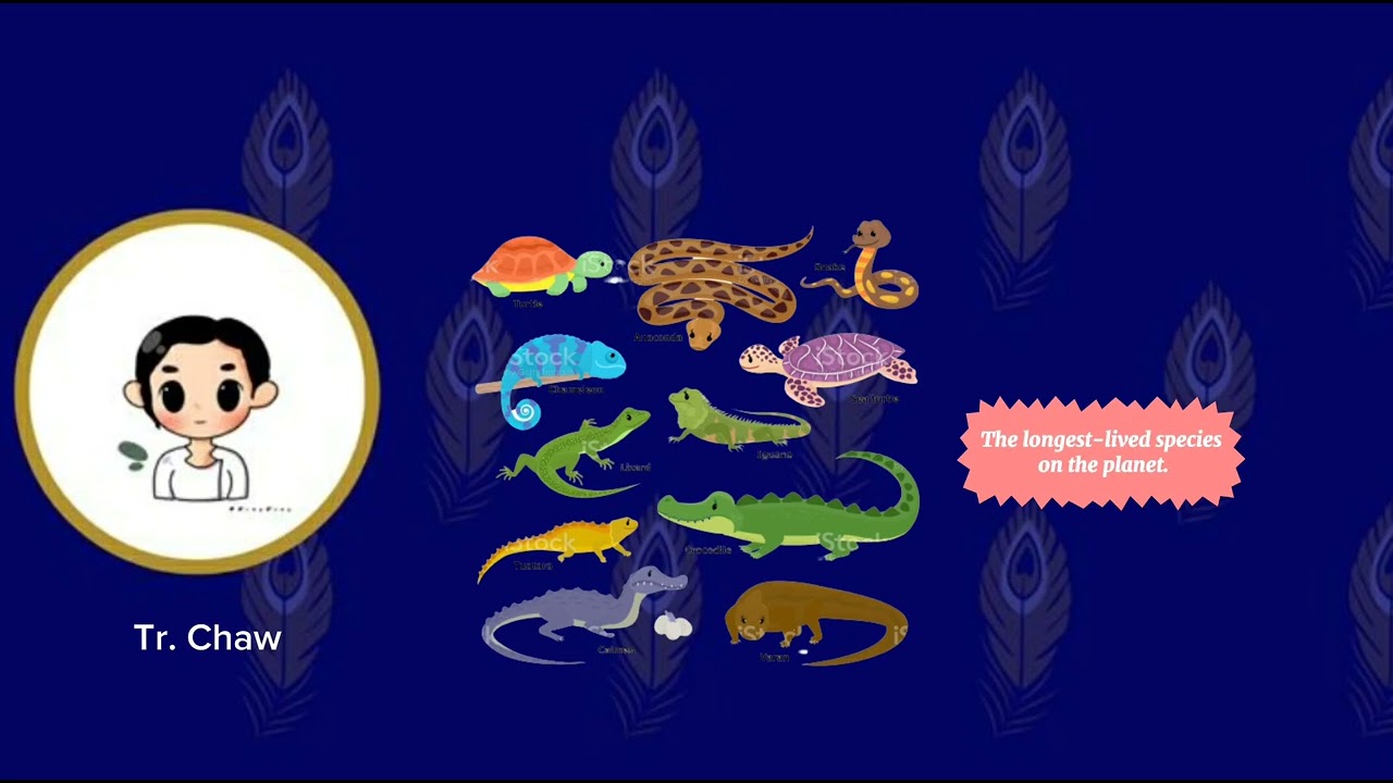 Lesson 18 - Reptiles