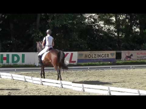 Gicco v. Grafenstolz