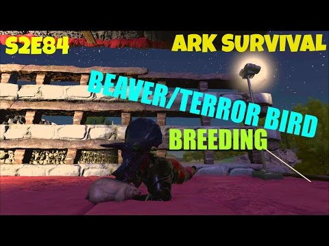 Baby Terror Bird and Giant Beaver - RAISING BABIES - (S2E84) ARK: Survival Evolved