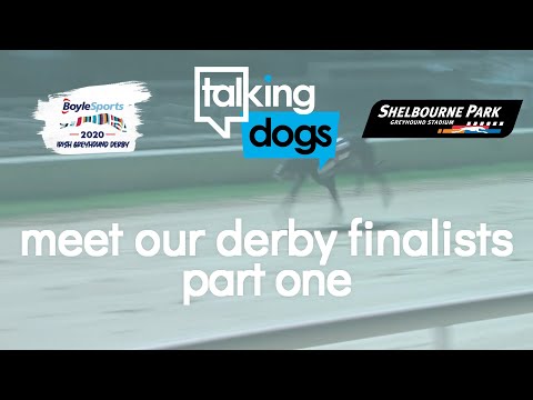 Meet our Derby Finalists Part One - 2020 BoyleSports Irish Greyhound Derby Virtual Lunch