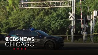 Pedestrian fatally struck by Metra train in Palatine, Illinois
