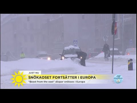 Sibiriska iskylan fortsätter i Europa - Nyhetsmorgon (TV4)