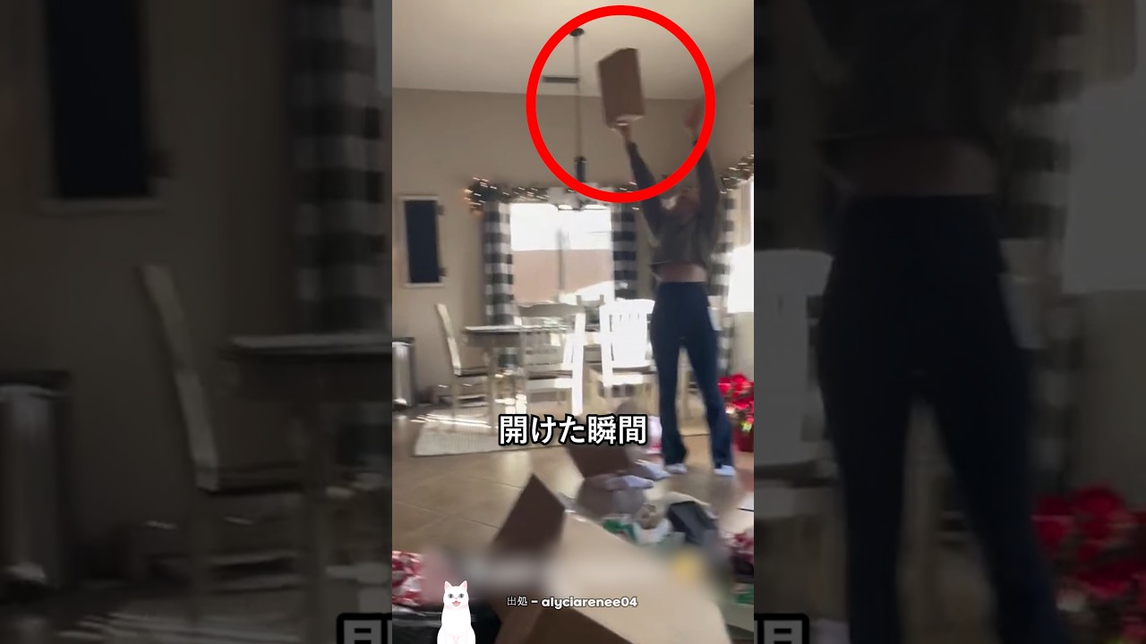 娘を大興奮させた父のプレゼント