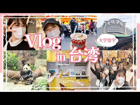 【台湾Vlog】目白大生の留学ライフ｜寮ルームツアー📸，台北人気No.1夜市を散策🍜，動物園でパンダ観覧🐼