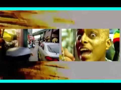 Copyright (Feat. Shovell) | Bulo | Kaar Wonkaa Chakal Mode V Remix | Music Video