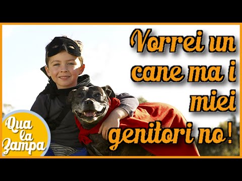Il marito ha cominciato a bere quasi un ogni giorno La codificazione da alcolismo di prezzo dindirizzo in Samara