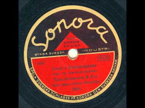 Hilmer Borgeling Tore Svensson och Co. - Livet i Finnskogarna