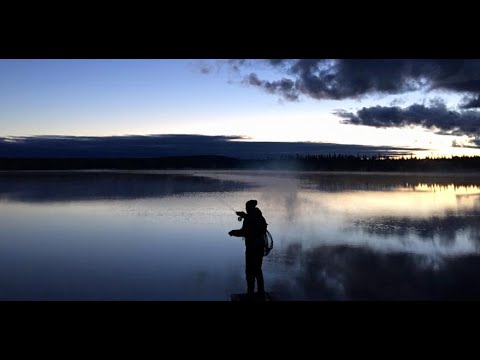Perhokalastusta Lapissa / Fly fishing in Lapland / Kesä-Esat mukana / Perhonsidontaa yms.
