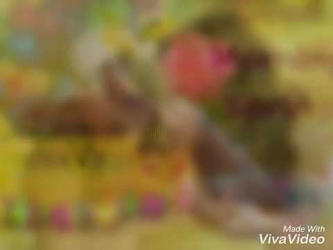 Picture of flowers and girls video