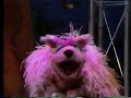Barrio Sésamo Sesame Street Nuts About Nuts European Spanish
