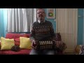 Easy and Slow (trad Irish / Bob Dylan / Clancy Brothers cover) with Anglo concertina accompaniment