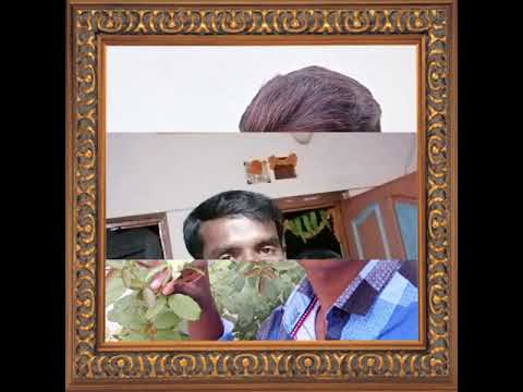 Nandeesha, nandeesha