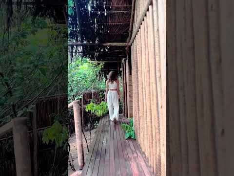 Já imaginou acordar assim? 🌿 Cabana Brisa em - Tatuamunha - Porto de Pedras - AL