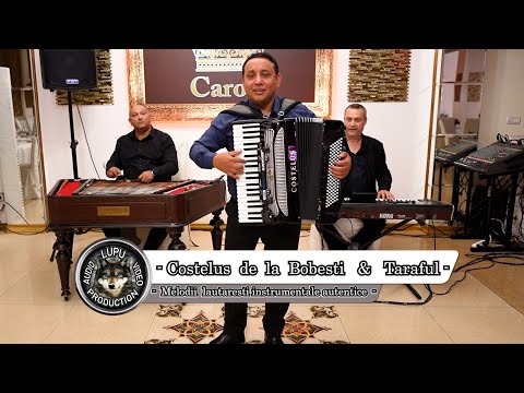 Costelus de la Bobesti - Hora si sarba lui Faramita