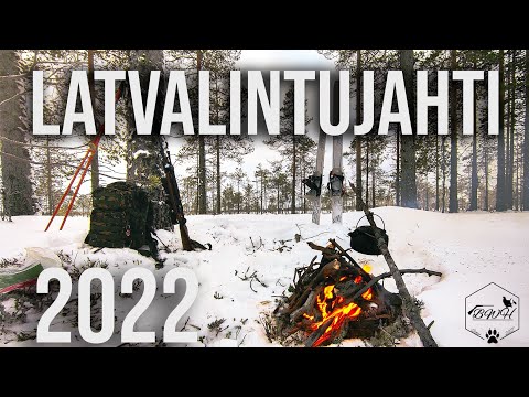 BWH: Epäonnen latvalintujahti