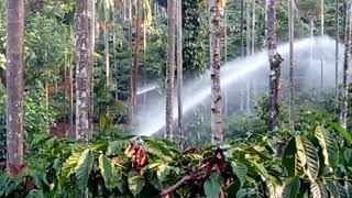 preview picture of video 'Irrigation system to coffee planation'
