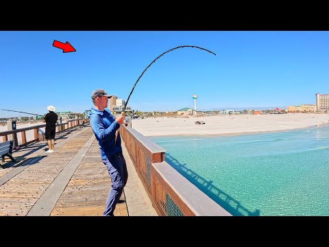 I Caught a Wintertime Dream Fish from the Gulf Pier! *New PB*