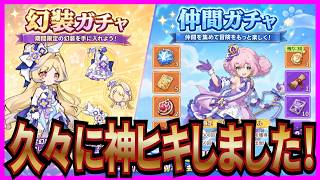 【杖と剣の伝説】実況 仲間ガチャと幻装ガチャを引いたら神ヒキした説⁉【杖剣】