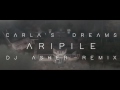 Carla S Dreams Aripile DJ Asher Remix Official Video DeejayAsher