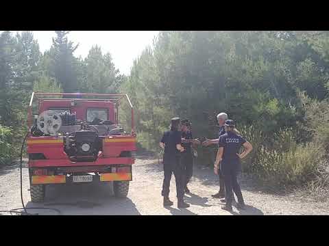Bordighera, Vigili del Fuoco su incendio su Montenero