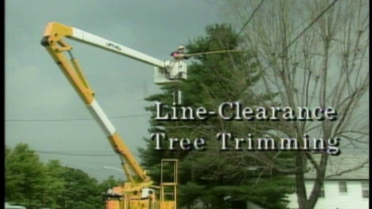 Tree Trimming [PREVIEW]