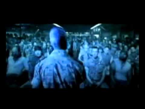 Pichy Films AGUACATAR