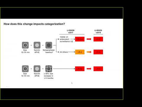 LI-RADS 2018 Update (Victoria Chernyak)