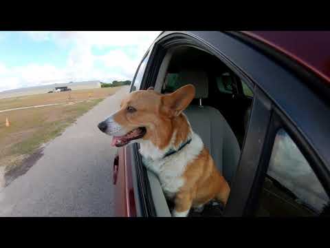 LEARNING DAVINCI RESOLVE 16