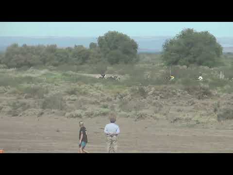 RAFA BORRE  Club Hipico "Cabo Alarcon" -    Picun Leufu -  04-12-2022