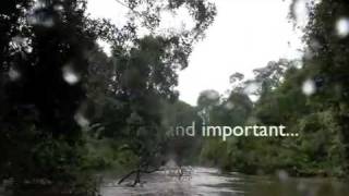 preview picture of video 'Wonder Eyes in Sumatra 2009'