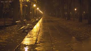 Quiet Night in the Park with Relaxing Sounds of Rain Falling Down the Empty Alleys, Puddles &amp; Leaves