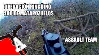 preview picture of video 'OPERACION PINGÜINO Zoo Matapozuelos'