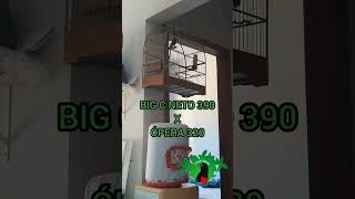 PRO 000051 - BIG C NETO 390 X ÓPERA 320 - CRIATÓRIO PRORROGAÇÃO