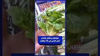 مواطن يستنكر ارتفاع ثمن الخس إلى 10 دراهم للواحدة thumbnail