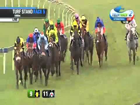 2015.03.28 Jacaranda Handicap (RSA) - Amber Orchid