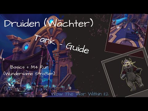 WoW Wächter Druide Guide 2025 deutsch | 11.2 Fähigkeiten, M+ Run & Fazit für Anfänger