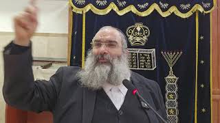 מצפן התורה קובע - לא מכוונים אותו!▪️הרב נחמנסון▪️(ה' אייר תשפ"ו. כפר חב"ד)