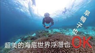 菲律賓 薄荷島（精華版）鯨鯊 海龜 笛鯛魚群 高空滑索