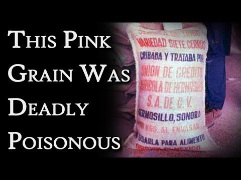 They Ate Grain Coated in Mercury: The Iraq Poison Grain Disaster | Fascinating Horror