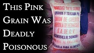 They Ate Grain Coated in Mercury: The Iraq Poison Grain Disaster | Fascinating Horror