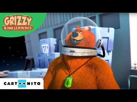 Grizzy és a lemmingek | Medve a Holdon | Cartoonito