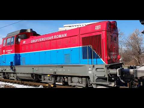 LDE1250 - 049 spre Chitila / Pajura 21.01.2021