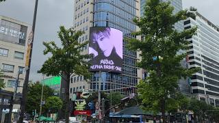 韓国人です