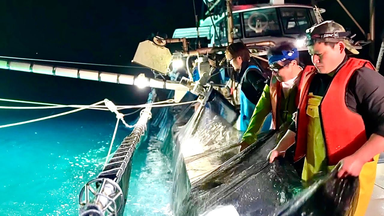 超巨大なタモで鰯を一網打尽にする！掬い網漁がヤバすぎた。鳥羽一郎さんも一緒に⁉︎