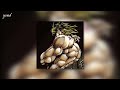 S3RL Trillium Slowed Looped Best Part TikTok Version