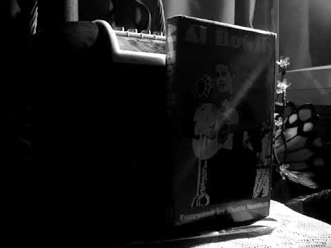 Al Bowlly - My Blue Bird was Caught in the Rain