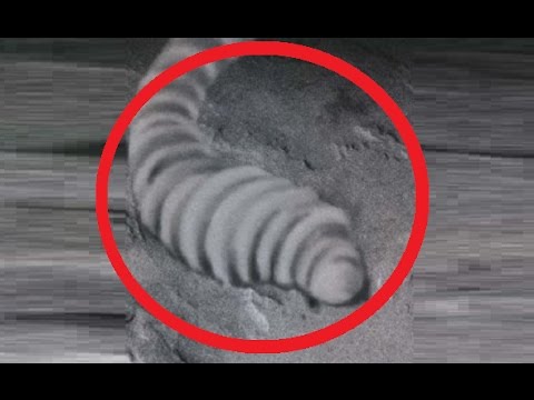 NASAは火星で幽霊のような写真を撮影することに成功した